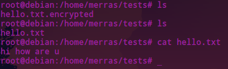 Image Encryption